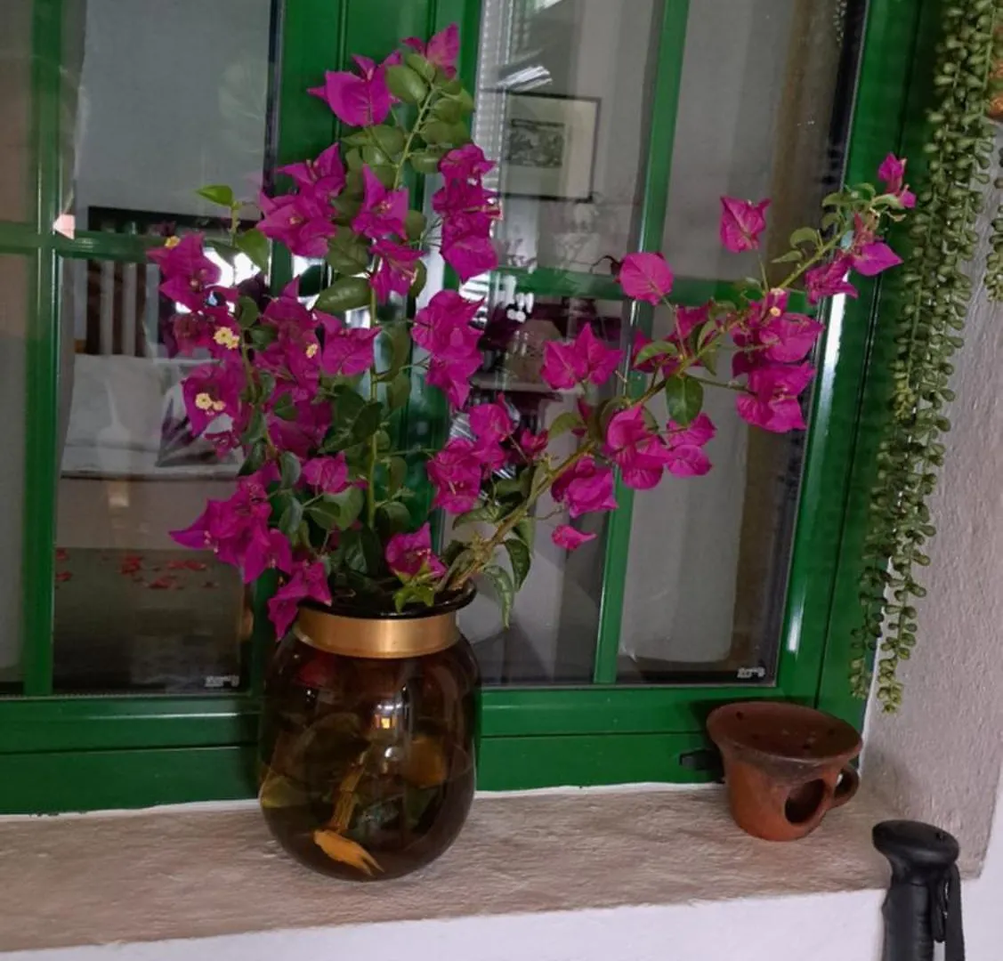 Casa Santana Segura Guest House Tejeda  Country house